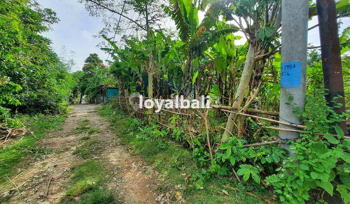 Tanah, Land 500m² Near Jimbaran Beach, Badung, Bali 2