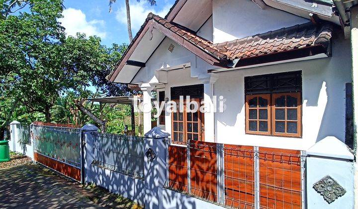 Comfortable House With Minimalist Design In Dalung, Badung, Bali 2