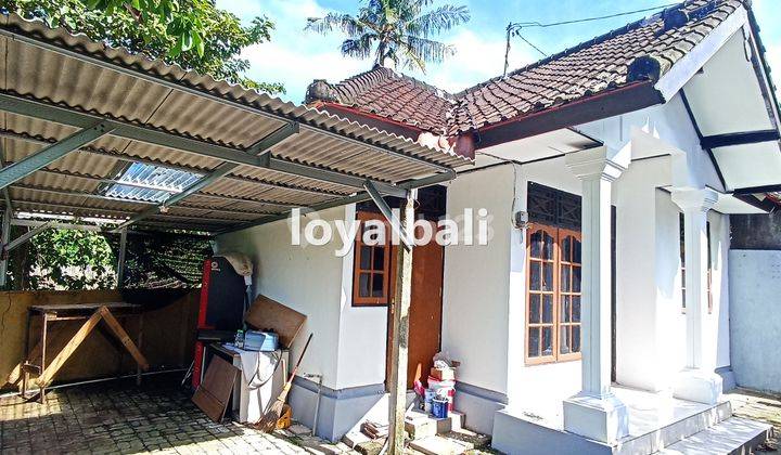 Comfortable House With Minimalist Design In Dalung, Badung, Bali 4
