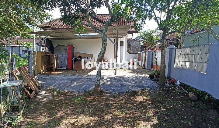 Comfortable House With Minimalist Design In Dalung, Badung, Bali 5