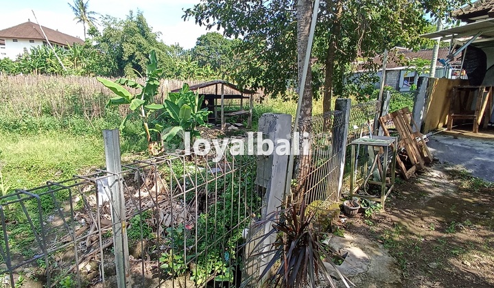 Comfortable House With Minimalist Design In Dalung, Badung, Bali 6