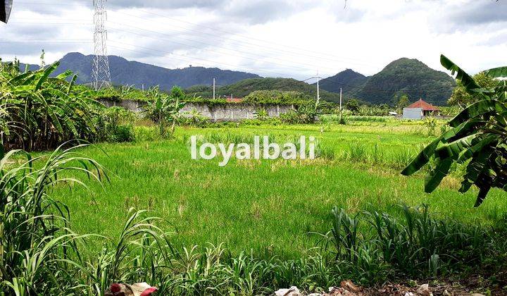 Tanah, Land On The Side Of Main Road In Bypass Ib Mantra, Dawan, Bali 1