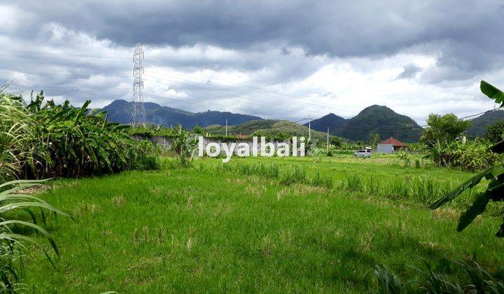 Tanah, Land On The Side Of Main Road In Bypass Ib Mantra, Dawan, Bali 2