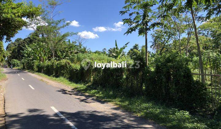 Tanah, Nice Land Near The River In Subamia Tabanan, Bali 2