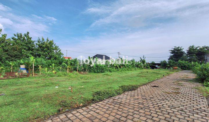 Tanah, Plot Land Ready To Build In Beautiful Environment In Kutuh, Bali 2