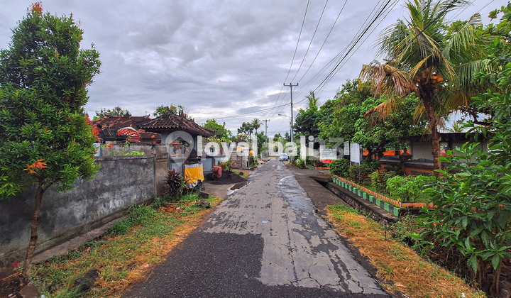 Tanah 20 are,  Excellent Land in Popular Area in Buleleng, Bali 2