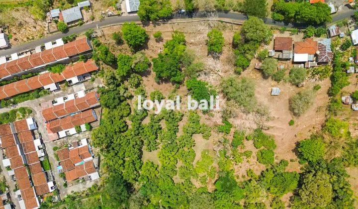 Tanah 15.000m² / Land in of Tegal Linggah, Buleleng, Bali 1