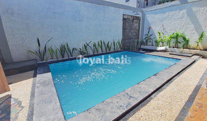 Villa, Brand New Villa With Swimming Pool In Benoa, Bali 2