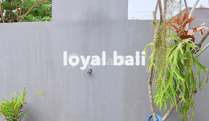 Villa, Brand New Tropical Villa In Ubud, Bali 2