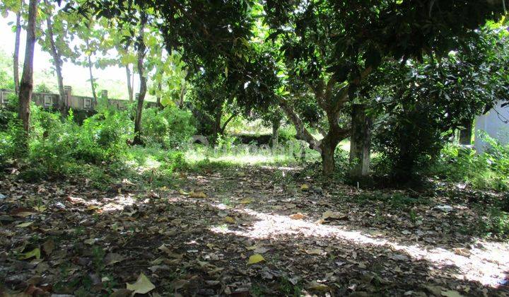 Tanah, Big Size Land With Great Location And Great Price, Kampial, Nusa Dua 2