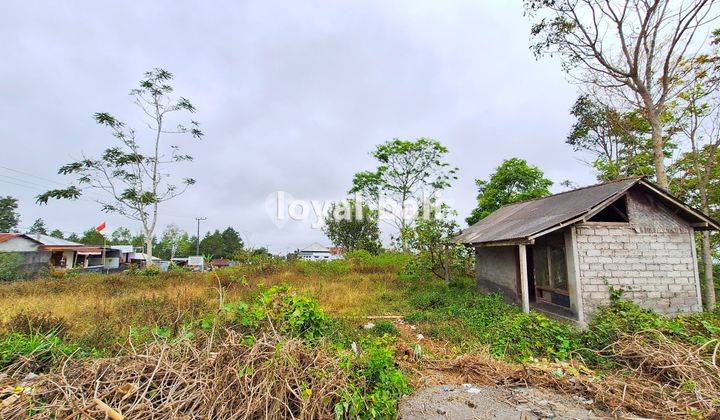 Tanah 3.700m² Land In Of Kintamani, Bali 2