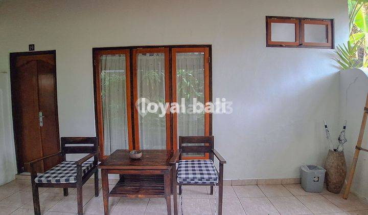 Guest House / Penginapan di Pantai Lovina, Buleleng, Bali. 2