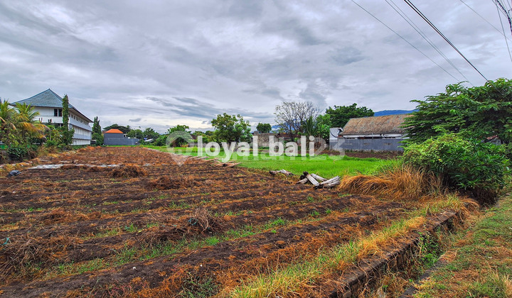 2.000M2 Excellent Land In Popular Area In Buleleng, Bali