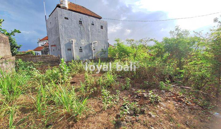 Land, Land 150m2 Next To Udayana In Jimbaran, Bali 2