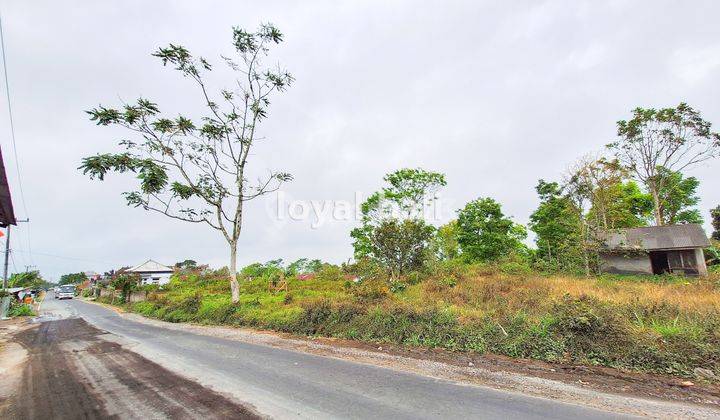 Tanah 3.700m² Land In Of Kintamani, Bali 2