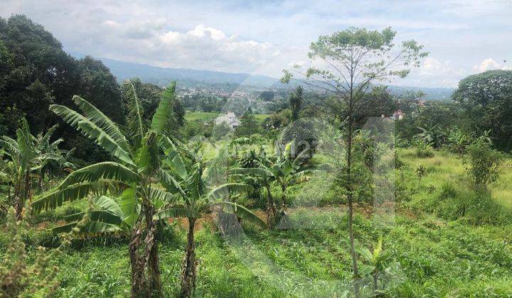 Dijual Cepat Pabrik Dan Gudang di Bogor Strategis Luas Dan View Gunung 9