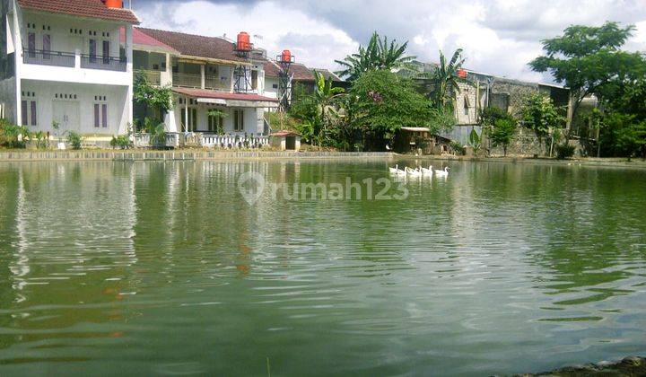 Dijual Cepat Bu Tanah Dan 4 Unit Rumah di Desa Cihideung Ilir,kec Ciampea Bogor Kec Ciampea Bogor 1
