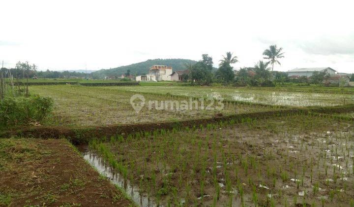 Tanah Di Kampung Cibolang Kidul Cibatu Cisaat Sukabumi.  1