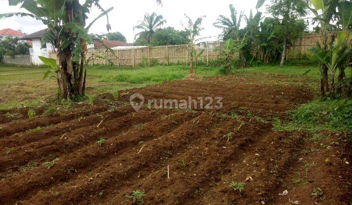 Tanah Di Kampung Cibolang Kidul Cibatu Cisaat Sukabumi.  2