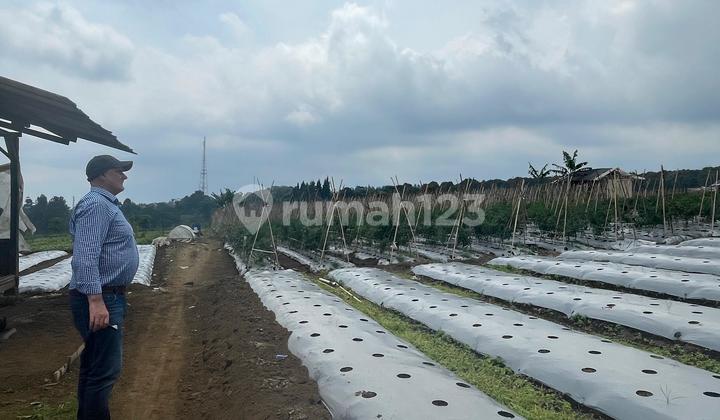 Tanah Daerah Pariwisata Salabintana, Kabupaten Sukabumi. 