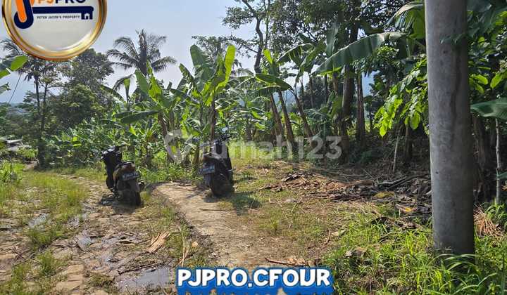 Tanah Girik Dekat Fasilitas Kesehatan di Telagaraja Tanjungsari, Bogor Tanah Girik Dekat Fasilitas Kesehatan di Telagaraja Tanjungsari, Bogor