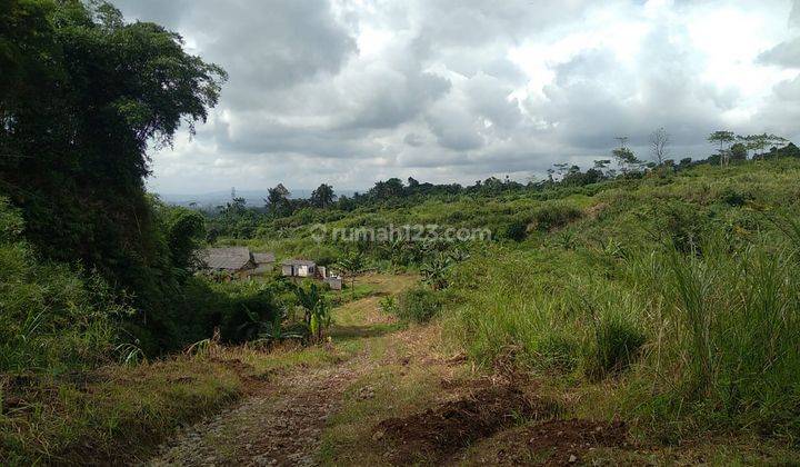 Tanah di Lido, Sukabumi Sertifikat Hak Milik 520.000 m² 2