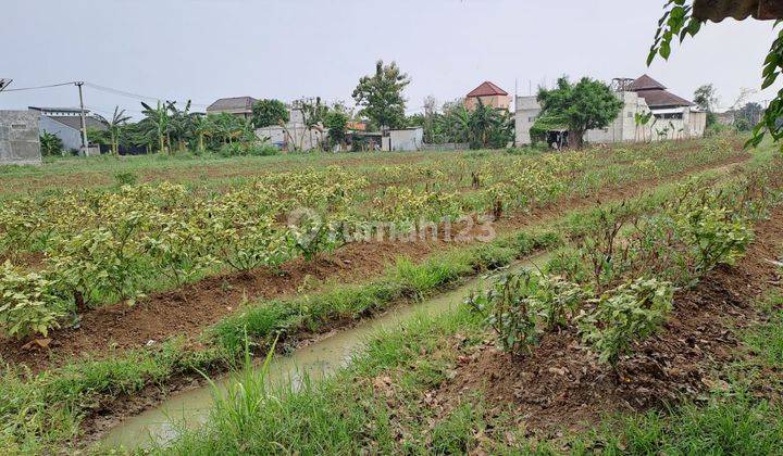 Tanah 10053 m2 SHM Kecamatan Sukarukun, Bekasi 1