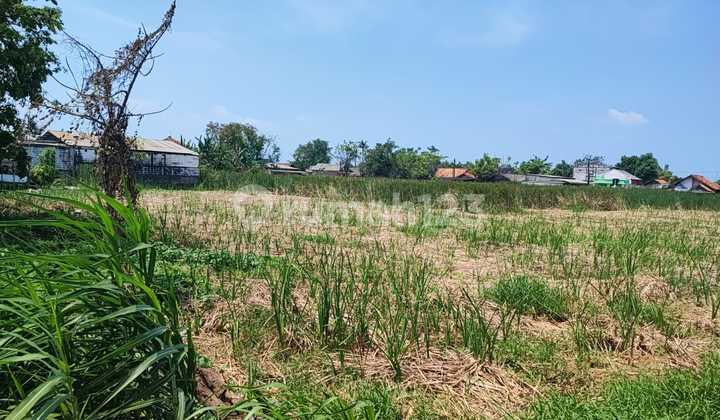 Tanah Kering 1 HA Babelan, Bekasi