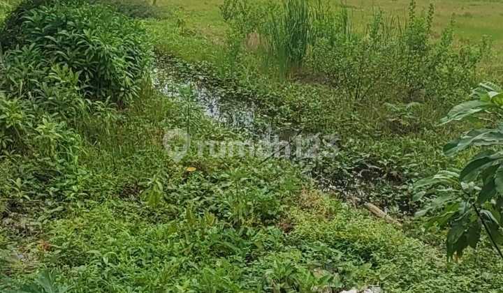 Tanah Dekat Akses Tol di Rorotan, Jakarta Utara Tanah Dekat Akses Tol di Rorotan, Jakarta Utara