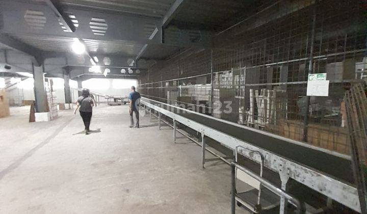 Gudang produksi kapuk muara