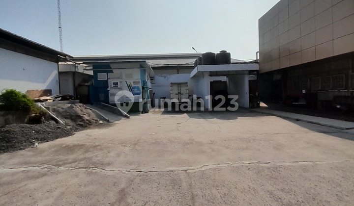 Large ready-to-use wooden kapok warehouse with container access Large ready-to-use wooden kapok warehouse with container access