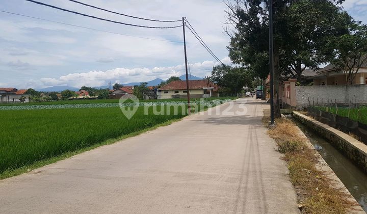 Kavling Sawah di Babakan Hanja Majalaya bisa untuk Gudang Dll
