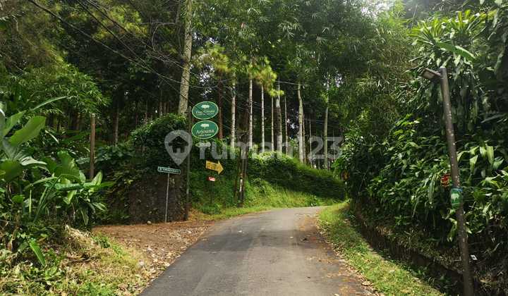 Rumah Minimalis di Dago Umaia Nuansa Alam Rumah Minimalis di Dago Umaia Nuansa Alam