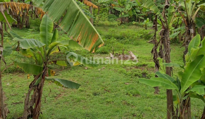 Tanah Murah Pudak Payung Banyumanikk 2