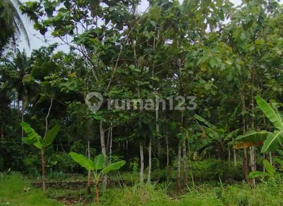 House Near Unnes Campus 2