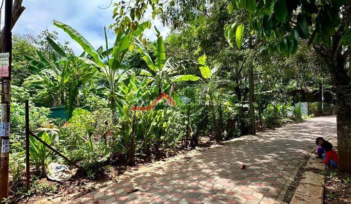 Tanah dijual murah 3,2jt per matar nego  2