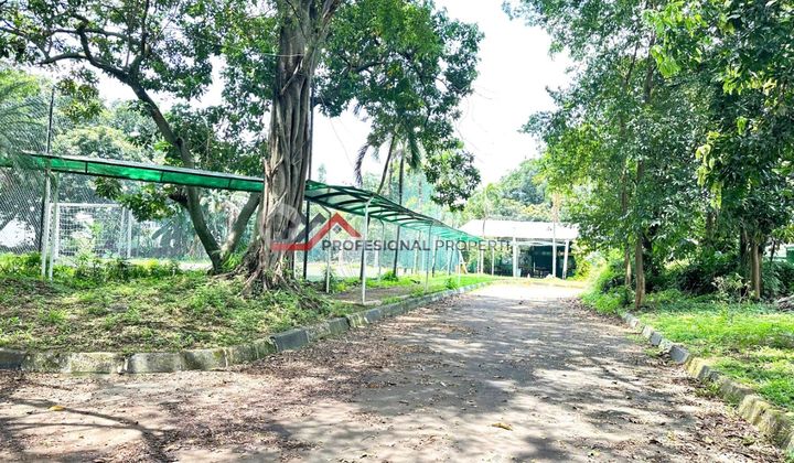 Rumah Lama Hitung Tanah Jual di Bawah NJOP Kemang Jakarta Selatan Rumah Lama Hitung Tanah Jual di Bawah NJOP Kemang Jakarta Selatan