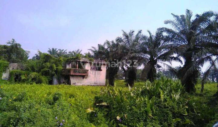 Dijual Segera Tanah Luas 4,6 Ha Di Pinggir Jl. Yos Sudarso Medan Labuhan 2