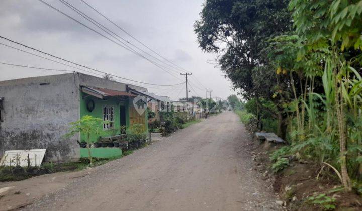 Dijual Tanah Luas 2,5 Ha Di Samping Tol Semayang Binjai, Tembok Keliling, Siap Bangun 1