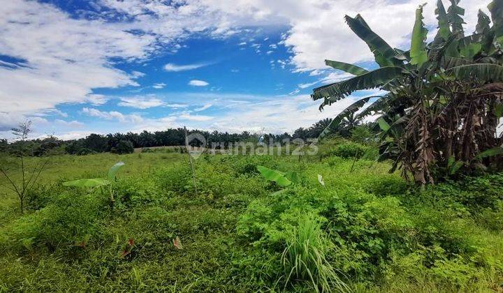 Dijual Tanah Luas 24 Ha Berpagar Tembok di Glugur Rimbun Medan 1