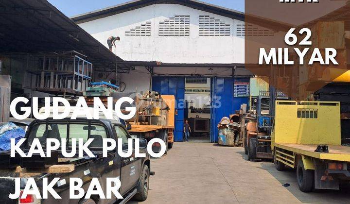 Murah Gudang Kapuk Pulo Cengkareng  1