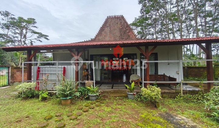 Di Jual Cepat Rumah Joglo di Boja 2
