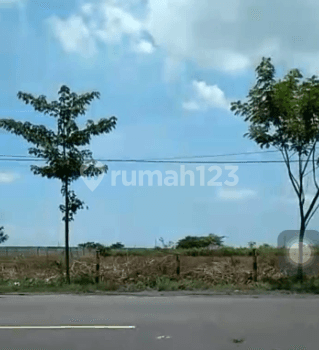 Tanah Kota Tuban Jawa Timur Status Hak Milik Luas Poll 1