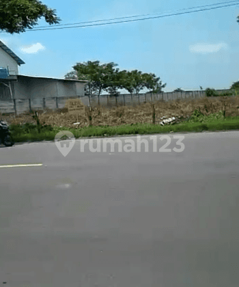 Tanah Kota Tuban Jawa Timur Status Hak Milik Luas Poll 3
