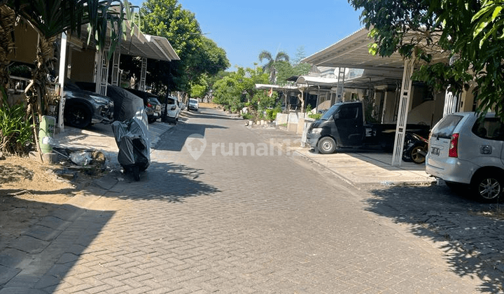 Rumah Citraland Bukit Palma Classica Strategis Siap Huni  2