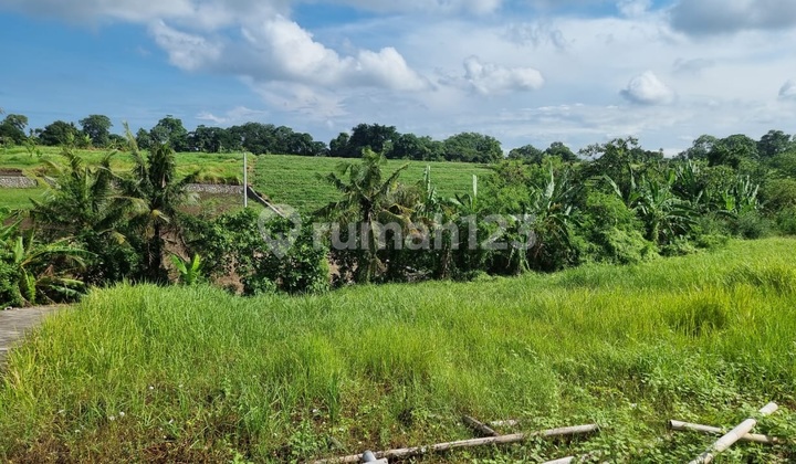 Land For Sale 4,5 Are In Jl Pantai Kedungu Bali Ek-4057