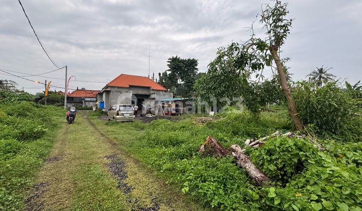 For Sale Premium Land 3 Are In Ubud,Gianyar Bali JK-3272 For Sale Premium Land 3 Are In Ubud,Gianyar Bali JK-3272