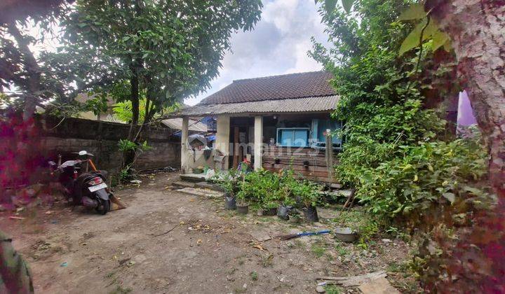 Dijual Tanah 2,68 Are Yang Berisi Rumah Tua Canggu Ek 2509 1