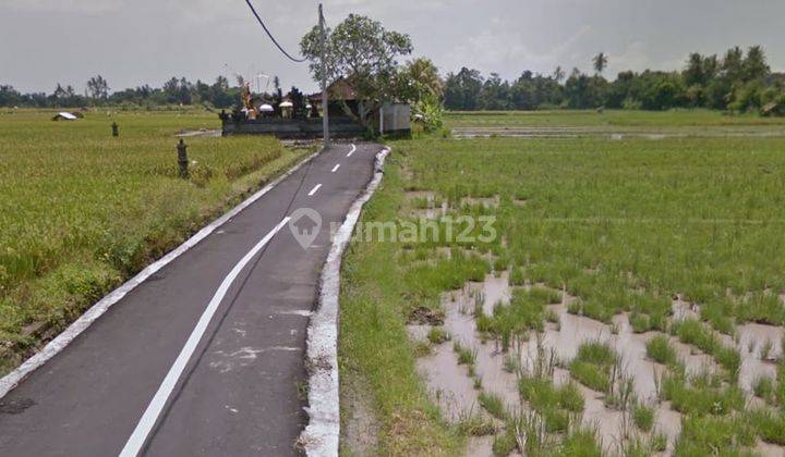 Di Jual Tanah Murah 600 Meter View Sawah Disingapadu Gianyar An 1646 1