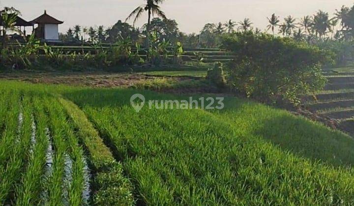 Dijual Tanah 1.189hektar View Sawah, Gunung,waterfall Df 1657 1